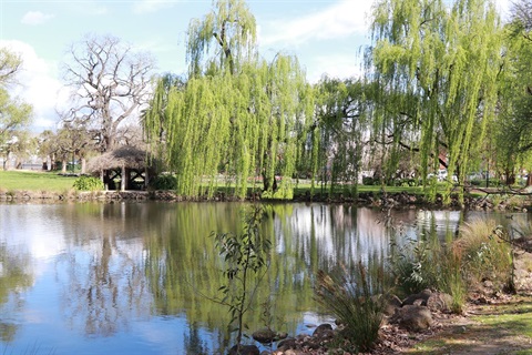 Botanical gardens lake joanna