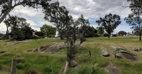 harcourt bmx track