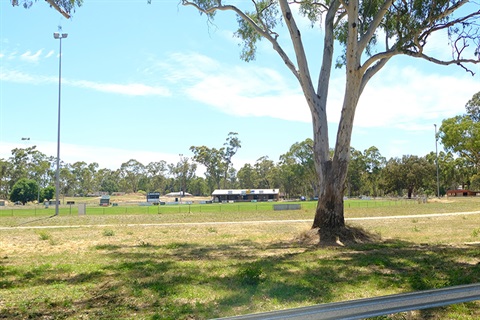 Cambells Creek Reserve oval and gum tree