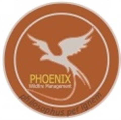 Phoenix-Logo2