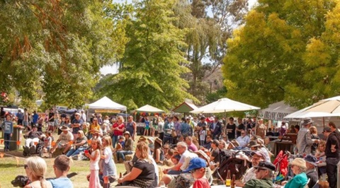 taradale mineral springs festival.jpeg